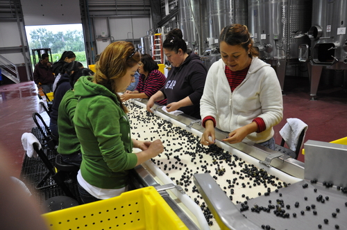Ladies Sorting