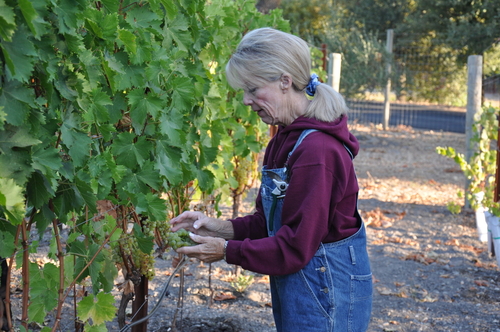 Roberta Picking