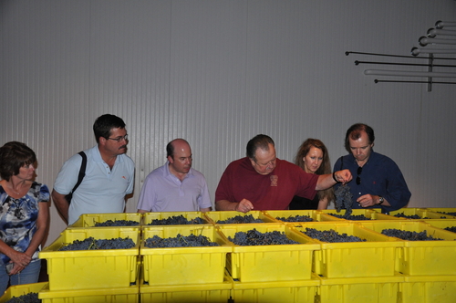 Tour during 2011 Harvest
