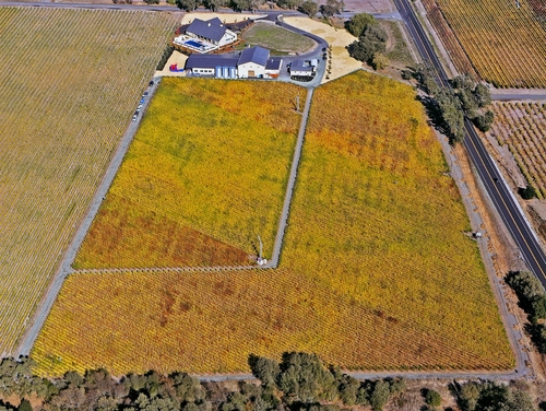 Aerial Photo of Vineyard
