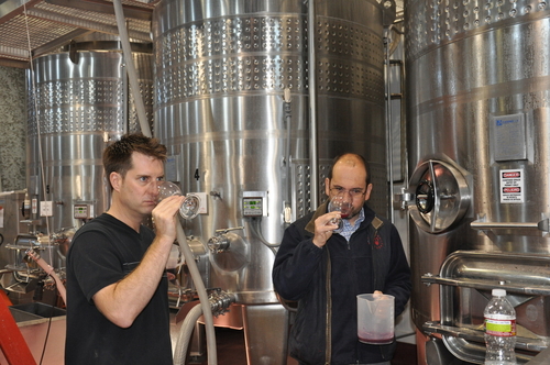 Louis and Denis Tasting the Tanks after Harvest